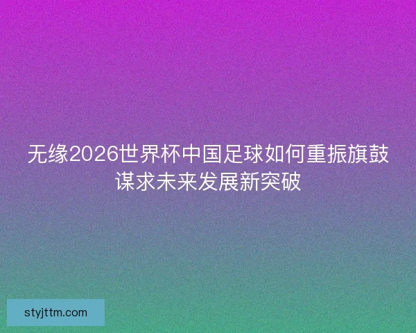 无缘2026世界杯中国足球如何重振旗鼓谋求未来发展新突破